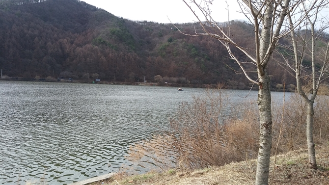 images