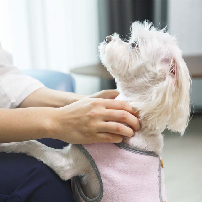 동아리 관련 사진